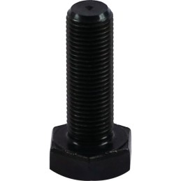 VIS 10X30 PAS DE 1 CL12.9