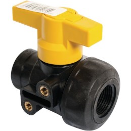 VANNE À BILLE PP 1" NPT FF-LL