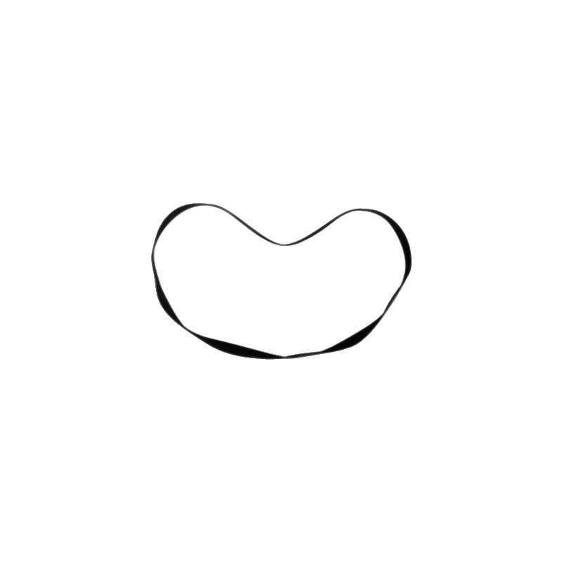 COUROIE DE SOUFFLERIE 540 TR/MIN F06010160R