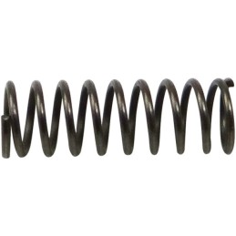 RESSORT DE ROUE LIBRE F02400084R (X8)