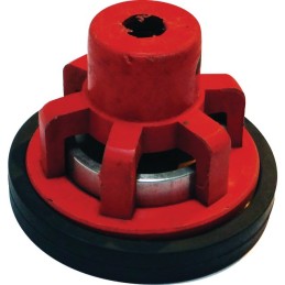 CLAPET POUR BP250/20        COMET