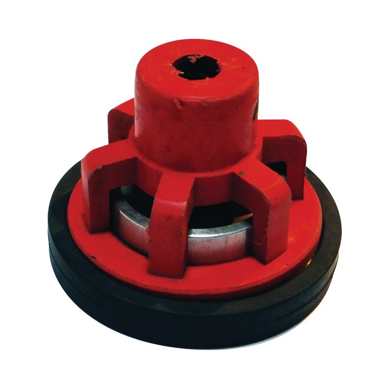 CLAPET POUR BP250/20        COMET