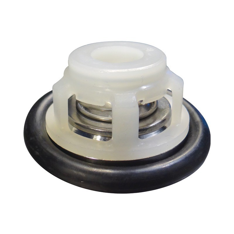 CLAPET COMPLET BP60/105/125/151/171/205/280K COMET