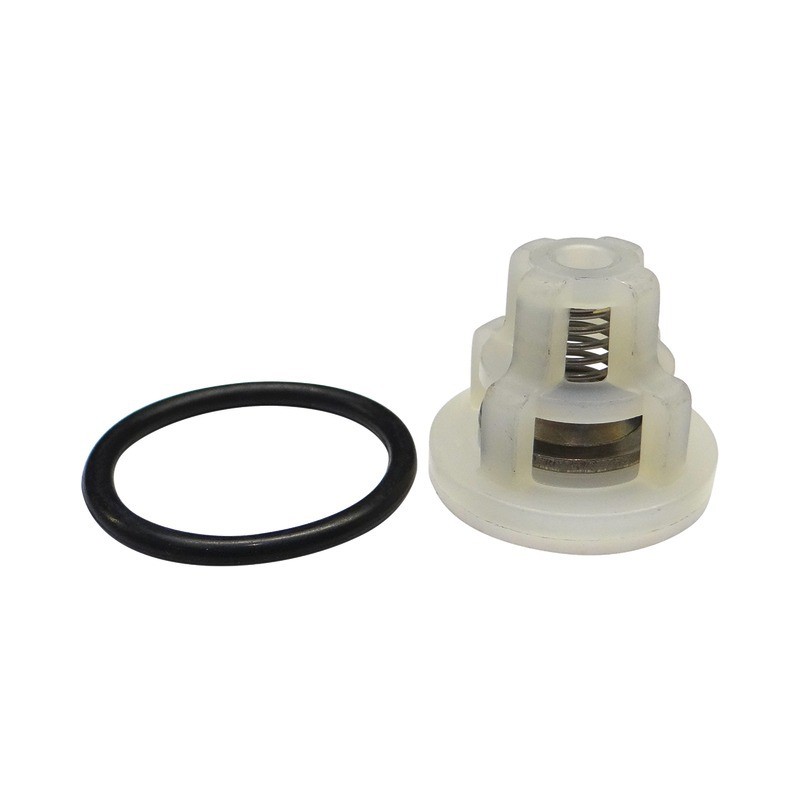 CLAPET COMPLET BP 75