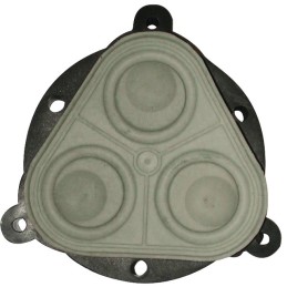 KIT MEMBRANE POMPE EF2200 EVERFLO