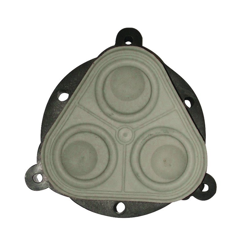 KIT MEMBRANE POMPE EF2200 EVERFLO