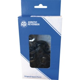 KIT DE 6 CLAPETS+JOINTS AR813 ANNOVI