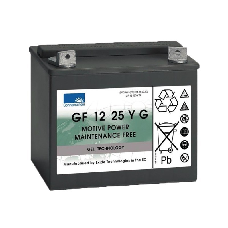 BATTERIE GEL GF12025YG 12V 28AH