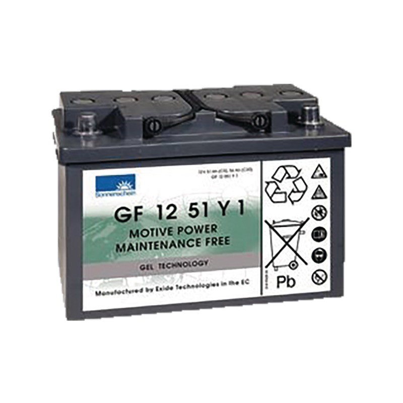 BATTERIE GEL GF12051Y1 12V 56AH