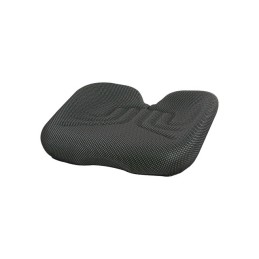 ASSISE SIEGE GRAMMER