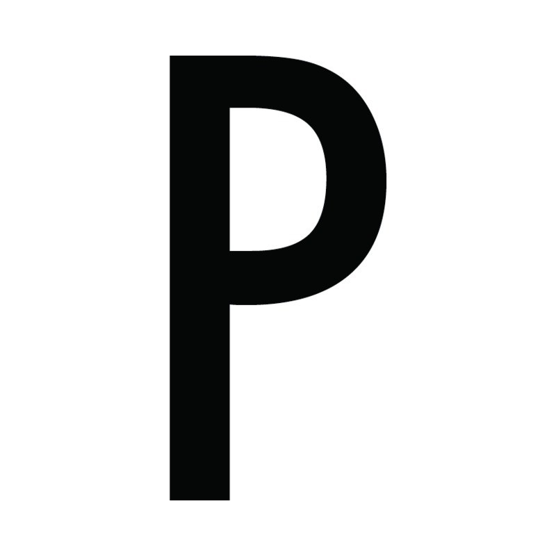 CARACTERE LETTRE ( P ) STYLE AUTO SACHET DE 10