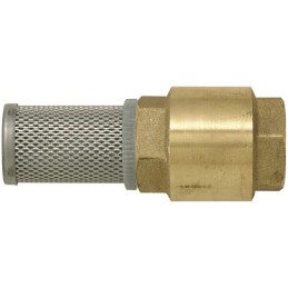 CREPINE LAITON CLAPET 1" (BLISTER)