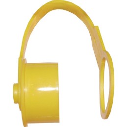 BOUCHON VALVE FREIN/TRACTEUR (BOX)