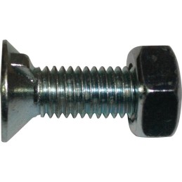 BOULON TETE FRAISE 1 ERGOT 10X30 8.8 BRUT 051805 TYPE NAUD BLISTER DE 10