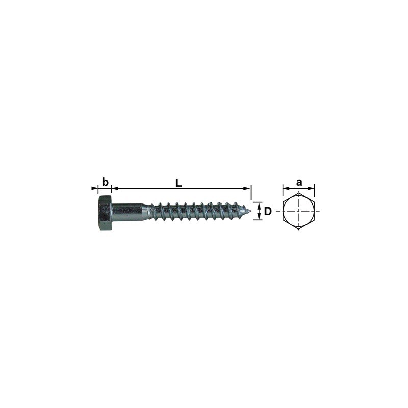 Tirefond tête hex ZN 06x40 mm (box de 10)