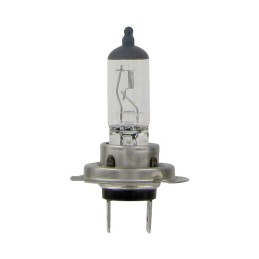 LAMPE H7 12V 55W                   (BOX DE 1)