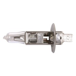 AMPOULE H1 STANDARD 12V 55 W