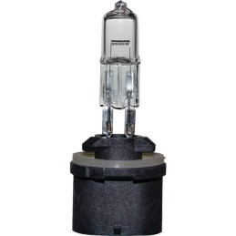 AMPOULE H885 12V 50W PG13 CASE NH  BOX