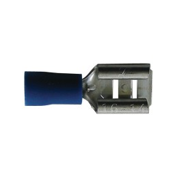 COSSES PLATES FEMELLES BLEUES (BOX DE 20)