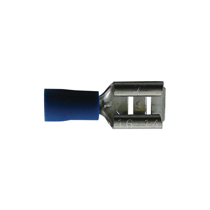 COSSES PLATES FEMELLES BLEUES (BOX DE 20)