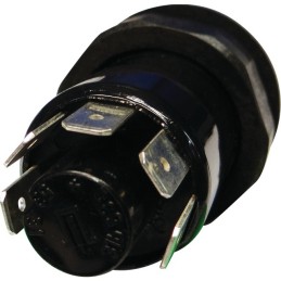 Interrupteur poussoir étanche "ESSUIE-GLACE"