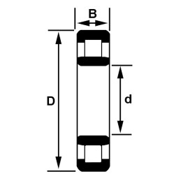 ROULEMENT A ROULEAUX CYLINDRIQUES NU317EG15J30 NTN