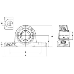 PALIER SEMELLE CLASSIQUE FONTE UCP211D1 NTN