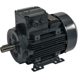 MOTEUR ELECTRIQUE TRIPHASE (400 V) 690 V 2 POLES 4 KW 5,5 CV B3 - IE3