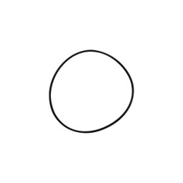 JOINT TORQUE 123,43X3,53 MM MASCHIO