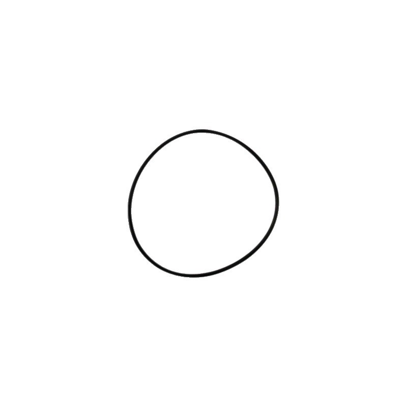 JOINT TORQUE 123,43X3,53 MM MASCHIO