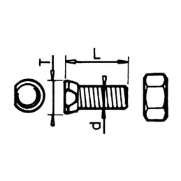 BOULON TETE CONIQUE 14X45 12.9 BRUT TYPE NAUD BOITE DE 25