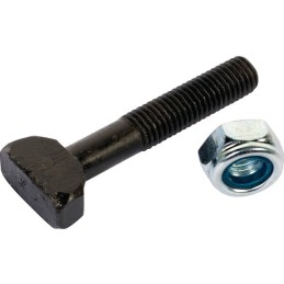 BOULON TETE GENDARME 10X65 8.8 TYPE RAU RG031301 BOITE 25