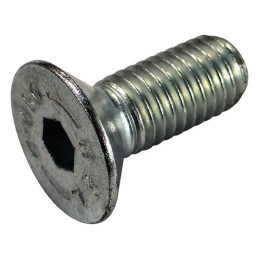 VIS M10X25 SIP150386102