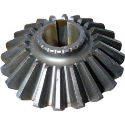 PIGNON CONIQUE SIP153439602