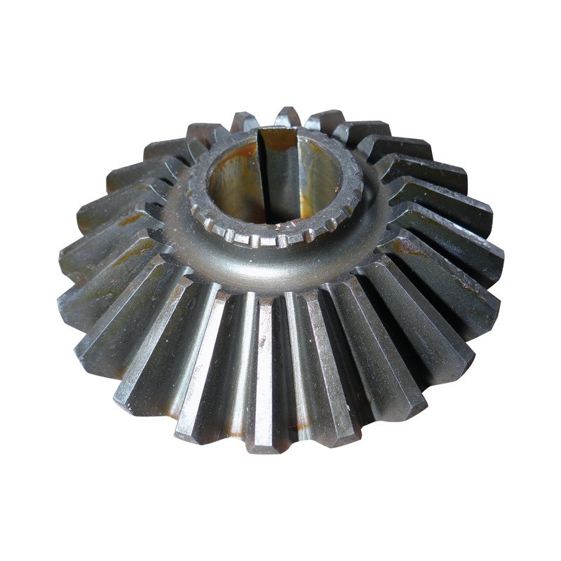 PIGNON CONIQUE SIP153439602