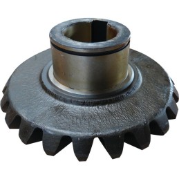 PIGNON CONIQUE SIP153439602