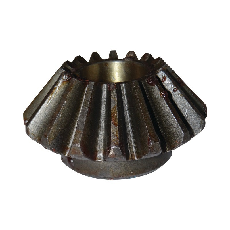 PIGNON CONIQUE SIP153439808