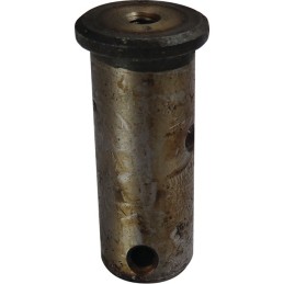 BOULON 22X54 SIP154146908