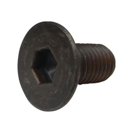 VIS TETE FRAISEE 12X25 PORTE-COUTEAU F1017 TYPE FAHR