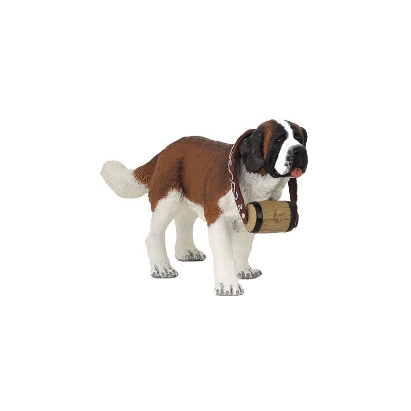 CHIEN SAINT BERNARD AU TONNEAU