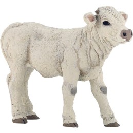 VEAU CHAROLAIS