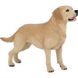 LABRADOR-RETRIEVER