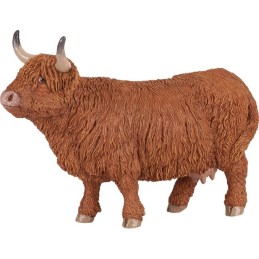 VACHE HIGHLAND
