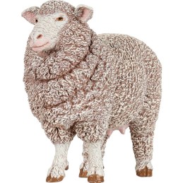 BREBIS MERINOS