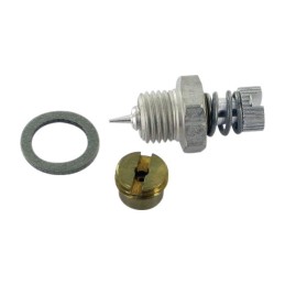 KIT POINTEAU ORIGINE BRIGGS & STRATTON