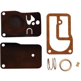 KIT POMPE A ESSENCE ORIGINE BRIGGS & STRATTON