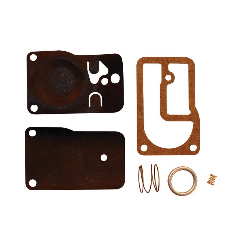 KIT POMPE A ESSENCE ORIGINE BRIGGS & STRATTON