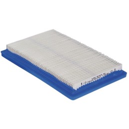 CARTOUCHE FILTRE ORIGINE BRIGGS & STRATTON