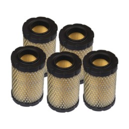 PACK ATELIER 5 FILTRES AIR 594201 B&STRATTON