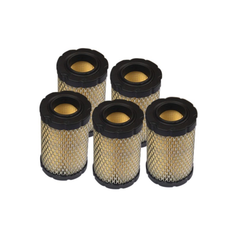 PACK ATELIER 5 FILTRES AIR 594201 B&STRATTON